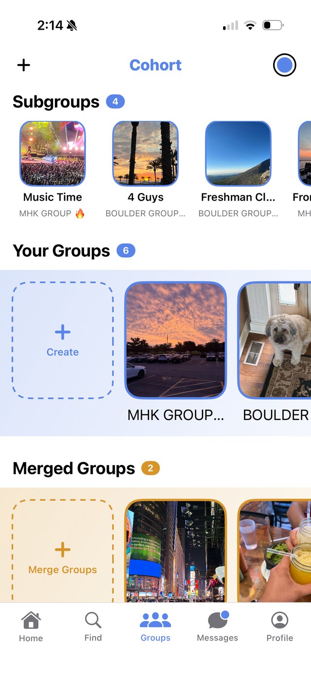 The Groups tab in the Cohort app, showing subgroups, your groups, and merged groups